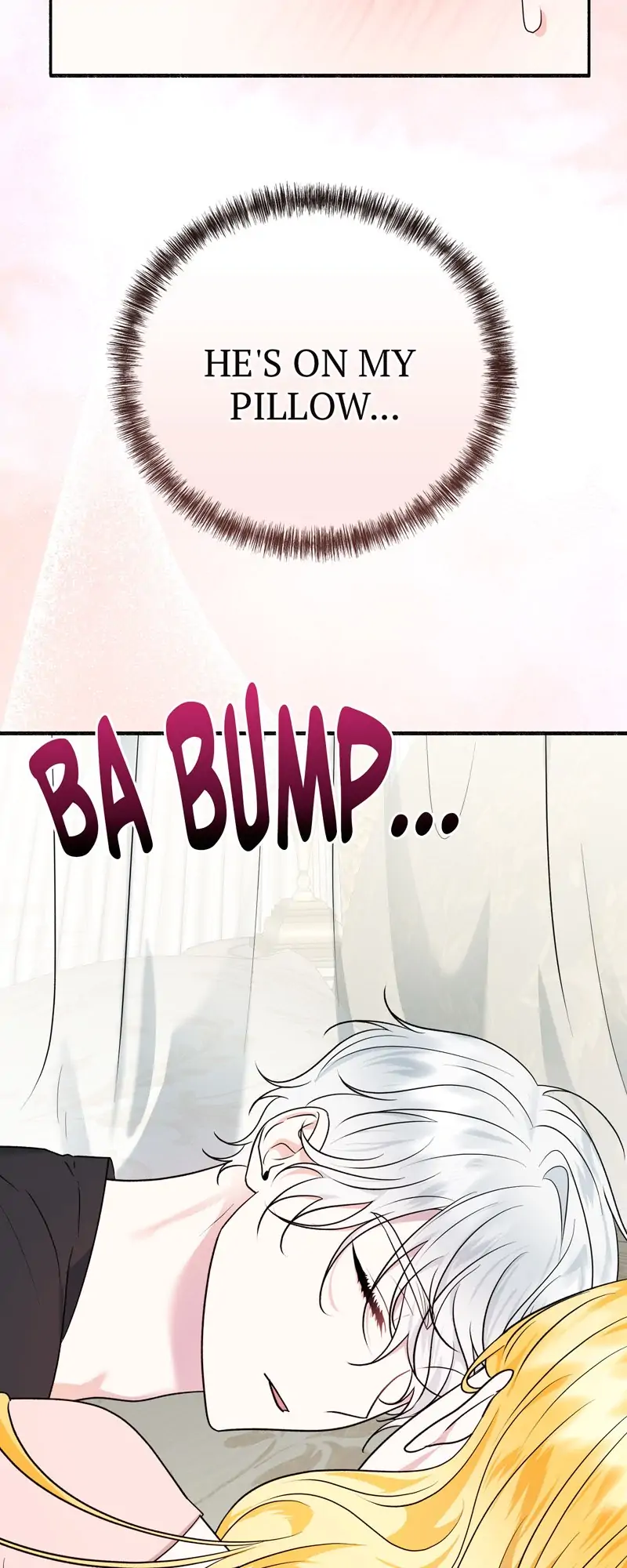 33339424 800 2000 97854